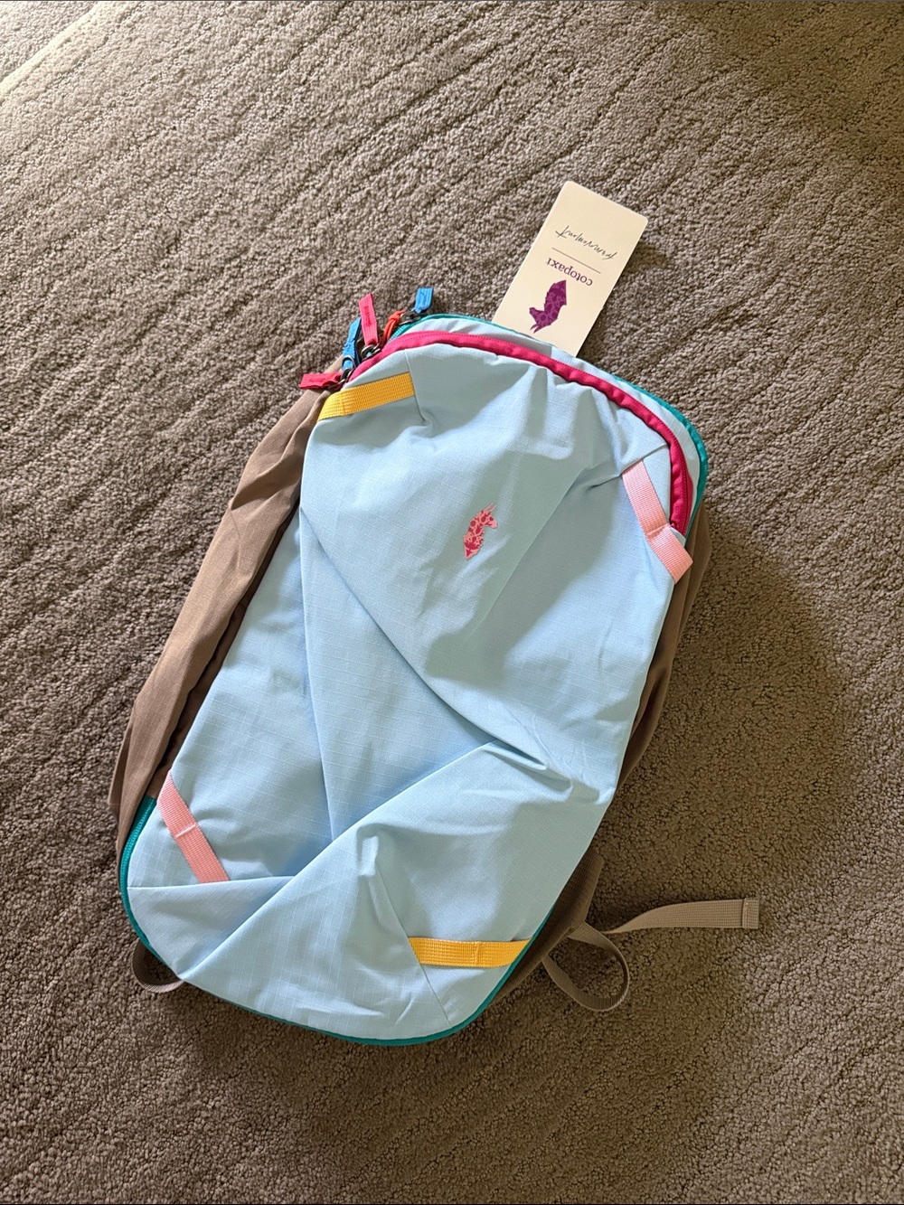 NWT Free People x Cotopaxi Allpa 20L Travel Pack Backpack